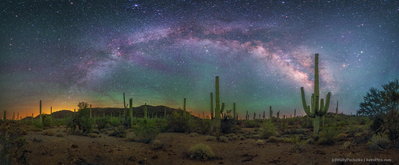 Milky Way Arch over Organ Pipe Cactus NM-(c)WallyPacholka.jpg