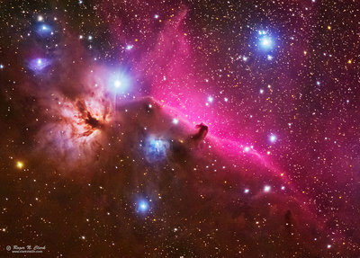 horsehead.rclark.c11.21.2014.0J6A1680-1750-t2.i-c1-1445s.jpg