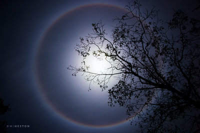 Moon Halo.jpg