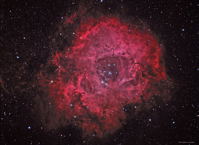 Rosette HaRGB v4 FNL 02 Feb 16 SIG 600px.jpg