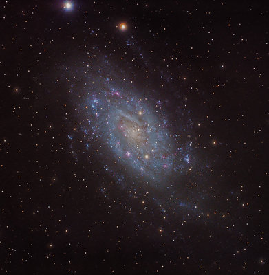 NGC 2403_Final_S4_DE.jpg
