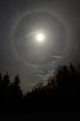 Lunar halo (1)_small.jpg