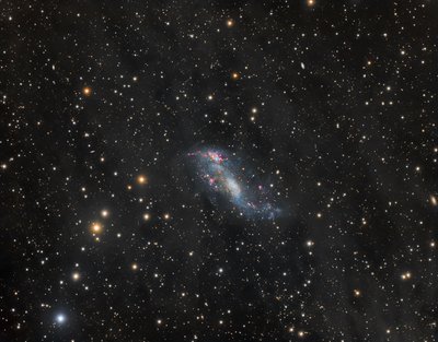 IC 2574-Final_jpg_small.jpg