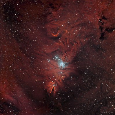 NGC-2264_HaRGB_final_small.jpg
