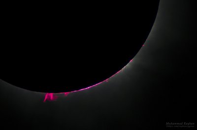 The Prominences and The Chromosphere of TSE 2016_small.jpg