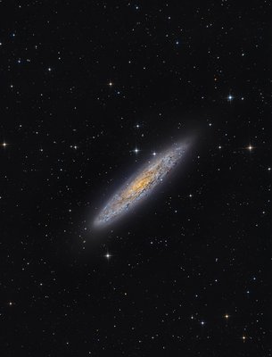 NGC253_Czernetz_Poss2_2016_small.jpg