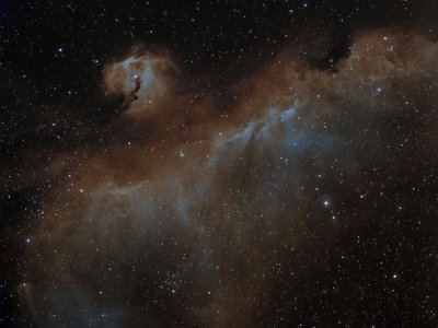 IC 2177-SEAGULL NEBULA.jpg
