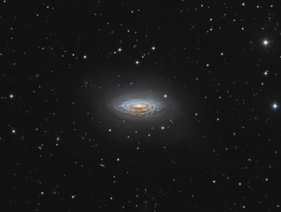 NGC3675_PS1_CROP_FULL_small.jpg