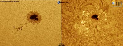 AR2529-Visible--Halpha_small.jpg