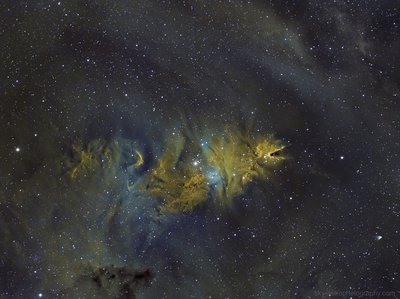 ngc-2264-skyastrophotography_small.jpg