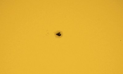 Sun (AR2529) 04132016 1531 UTC.JPG