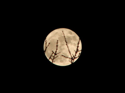 FOTOS DE LA SUPERLUNA  , PROVENIENTES DE TODO EL MUNDO TOMADAS POR LOS MIEMBROS DEL FORO . File