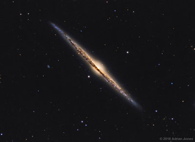 NGC4565_AP_crop4.jpg