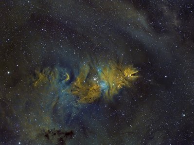 NGC2264 skyastrophotography_small.jpg