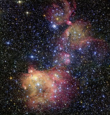 The glowing gas cloud LHA 120-N55 in the LMC (Credit: ESO)