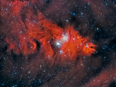 NGC2264.jpg