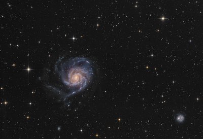M101_edit-w_small.jpg