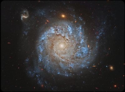 NGC1309_full_small.jpg