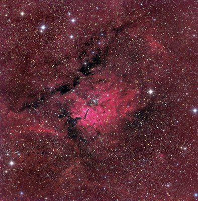 LRGB HA NGC 6820 Robert Fields Submit_small.jpg