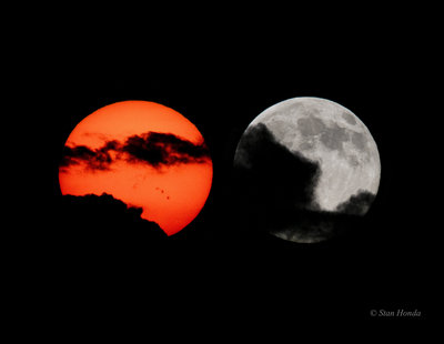 SHonda-sun-moon (1).jpg