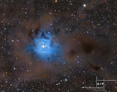 NGC7023_LRGB_2048p_AIP_small.jpg