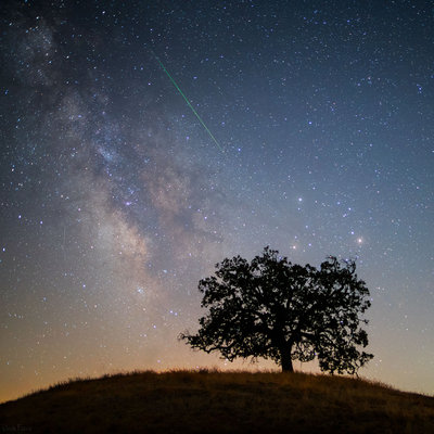 Jack-Fusco---Persieds-Meteor.jpg