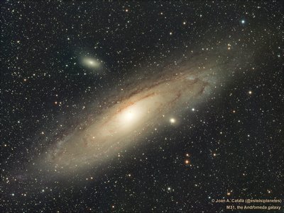 Andromeda signed_small.jpg