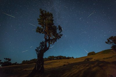 Perseids_stack_small.jpg
