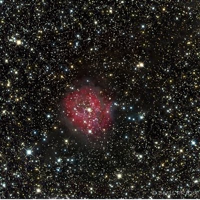 IC 5146 nearIR RGB Denis PRIOU_small.jpg