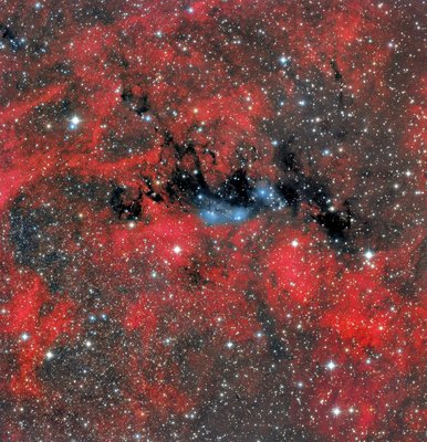 NGC 6914 HaLRGB Final RFields Astronomy_small.jpg