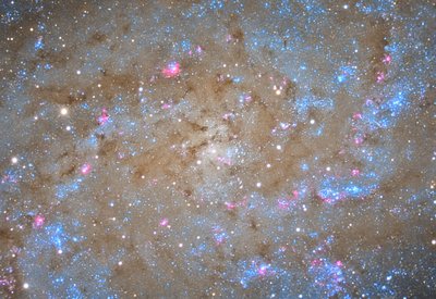 M33's Core.jpg