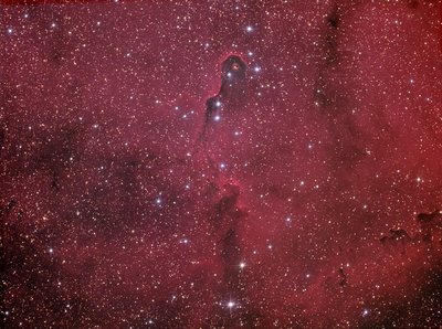 IC1396 - Elephants Trunk Nebula - 18x300S LRGB + 8x600S HA - Unsigned_small.jpg