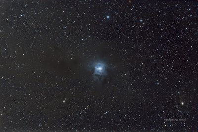 NGC7023Mod2_small.jpg