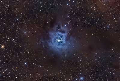 NGC7023 15hr RGB Sept 2016_small.jpg