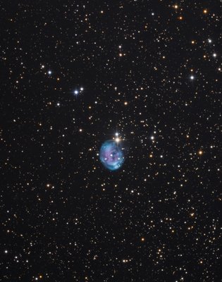 NGC7008.jpg