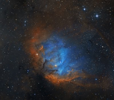 TulipNebula_SHO_small.jpg