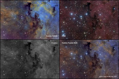 CygnusArea-Four Panel Narrowband and RGB Image_2_small.jpg