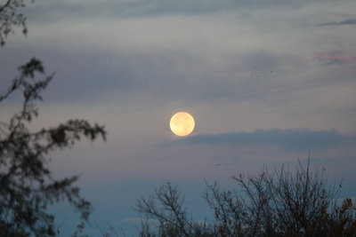 Duck Hunters Moon.jpg