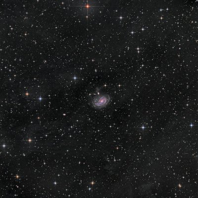 NGC772.jpg