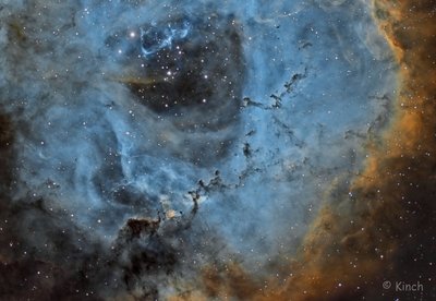 Within the Rosette (2000 x 1379).jpg