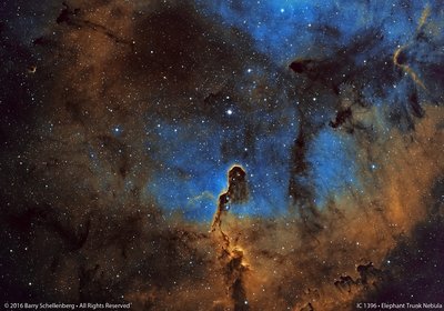 IC-1396---Elephant-Trunk-Nebula-Flat_small.jpg