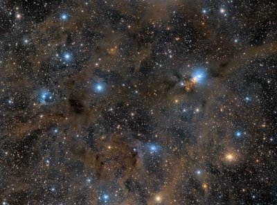 NGC 1333 Widefield J.Lozano.jpg