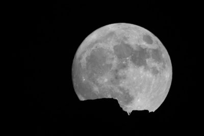 SuperMoon Rising11132014_small.jpg