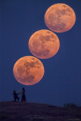 Proposal Over SuperMoon- Low Quality.jpg