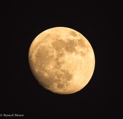Dandeli Moon-1.jpg