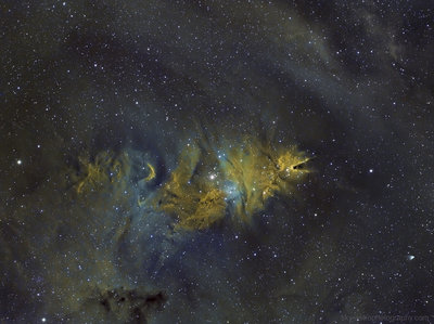 ngc-2264- sky-astrophotography.jpg