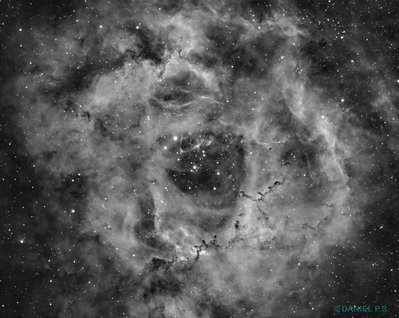 NGC2237 Ha_small.jpg