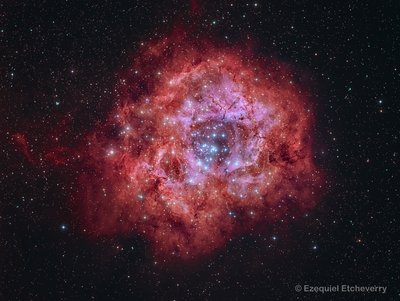 NGC-2244-The-Rosette-Nebula_small.jpg