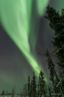 Aurora over Yellowknife.jpg