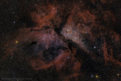 Carina_2016_small.jpg